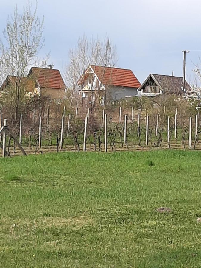 Grapeline Guesthouse Chotin Exterior foto